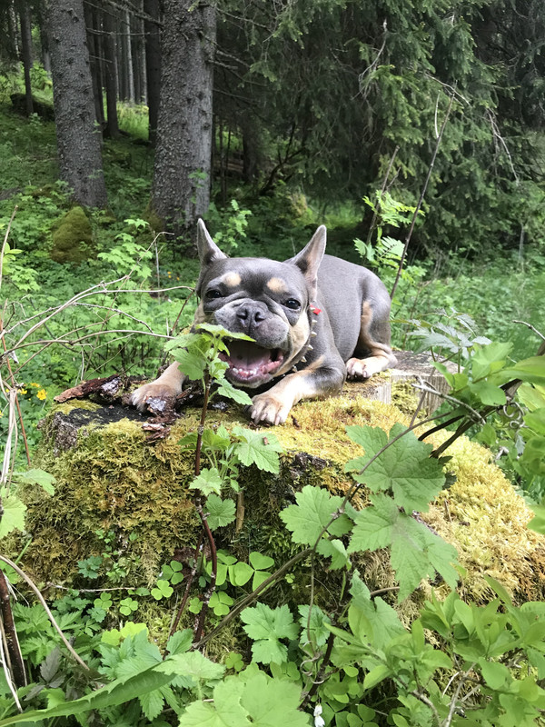 3F6F6DAC-F412-45CD-9E2F-E6BF34E4C8CD