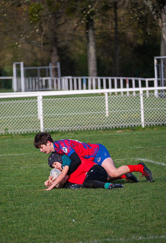 tournoi-de-latlantique-2026-adonis-griffon-260-55181412408-l