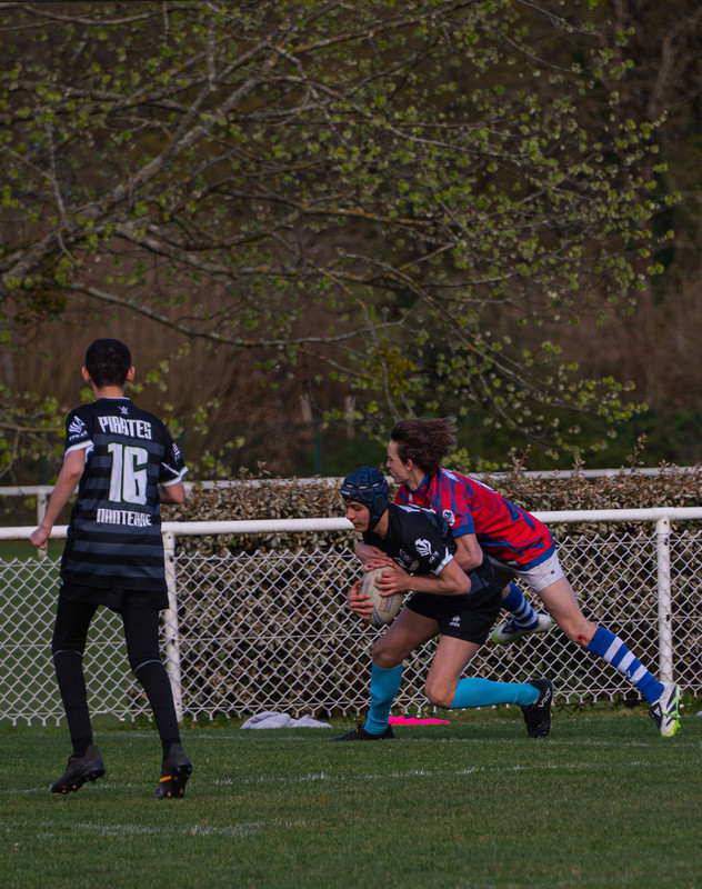 tournoi-de-latlantique-2026-adonis-griffon-256-55181244581-l