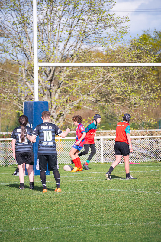 tournoi-de-latlantique-2026-adonis-griffon-253-55181415023-l