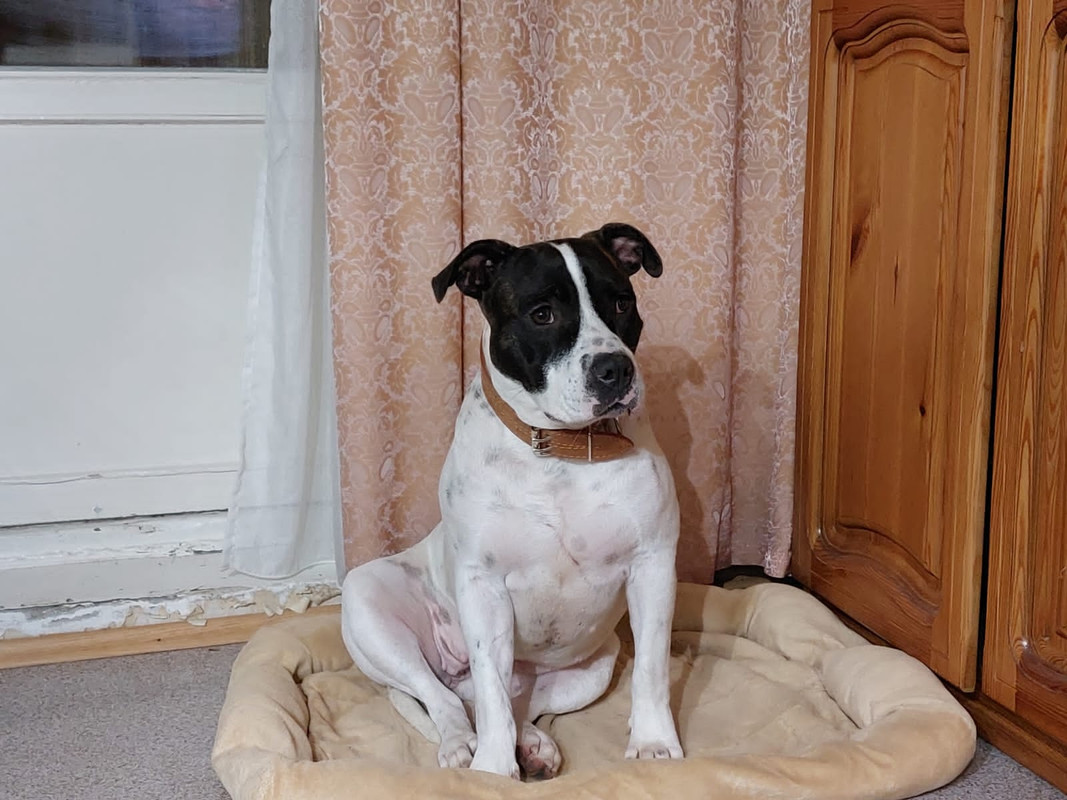 AF177B95-3AD5-4CE7-9F3E-6D2066D6AA3C