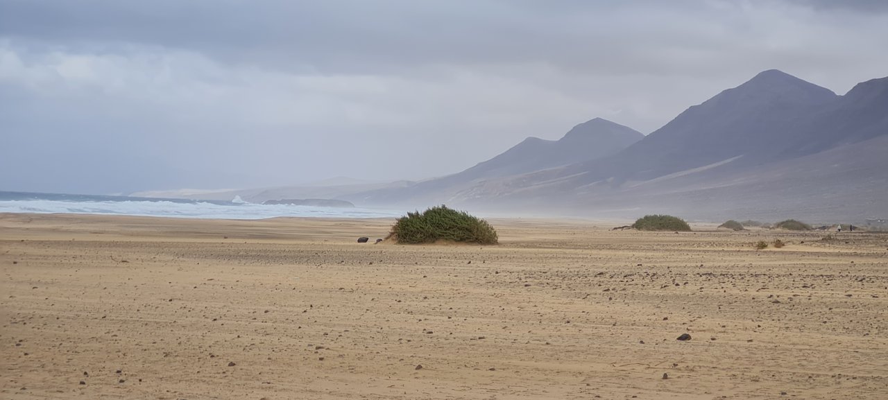 Fuerteventura, la isla de la calma - Blogs of Spain - SUR DE FUERTEVENTURA: PLAYAS Y MÁS PLAYAS (5)