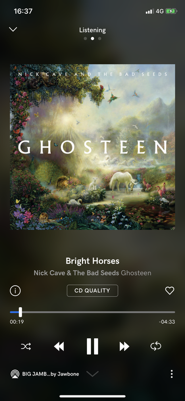 BC40C281-6851-4D5C-88A8-943EDB70DFE8