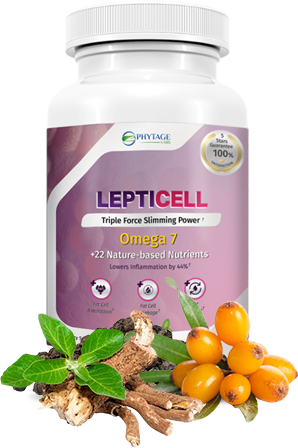 Lepticell-ingredients