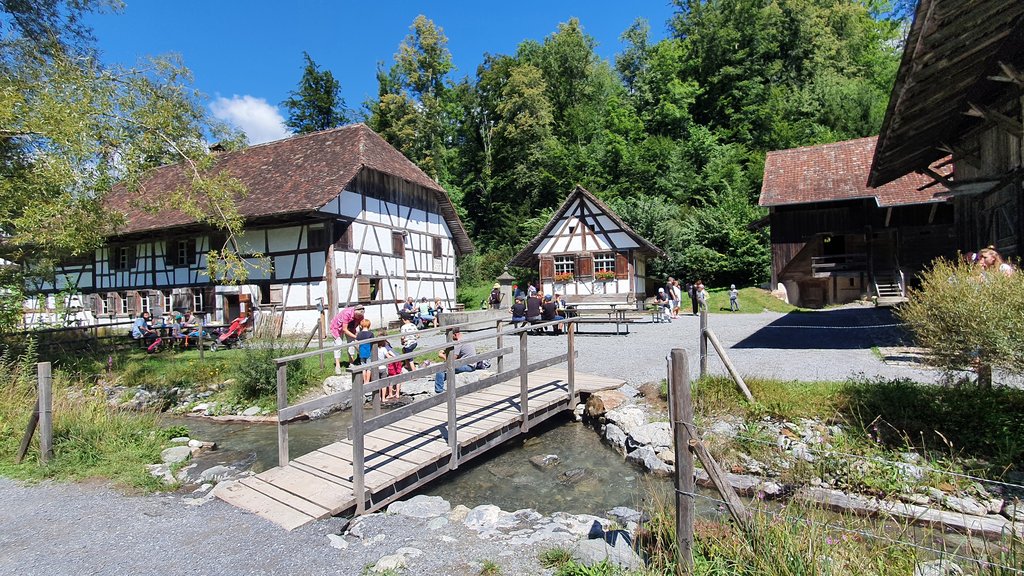 50 sombras del verde en Suiza y Alemania - Blogs de Suiza - MUSEO AL AIRE LIBRE DE BALLENBERG- PLAYA DE ROLLE- VUELTA A CASA (6)