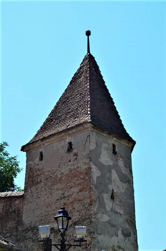 Rumanía y sus pueblos-2015 - Blogs de Rumania - Sighișoara-8-8-2015 (48)