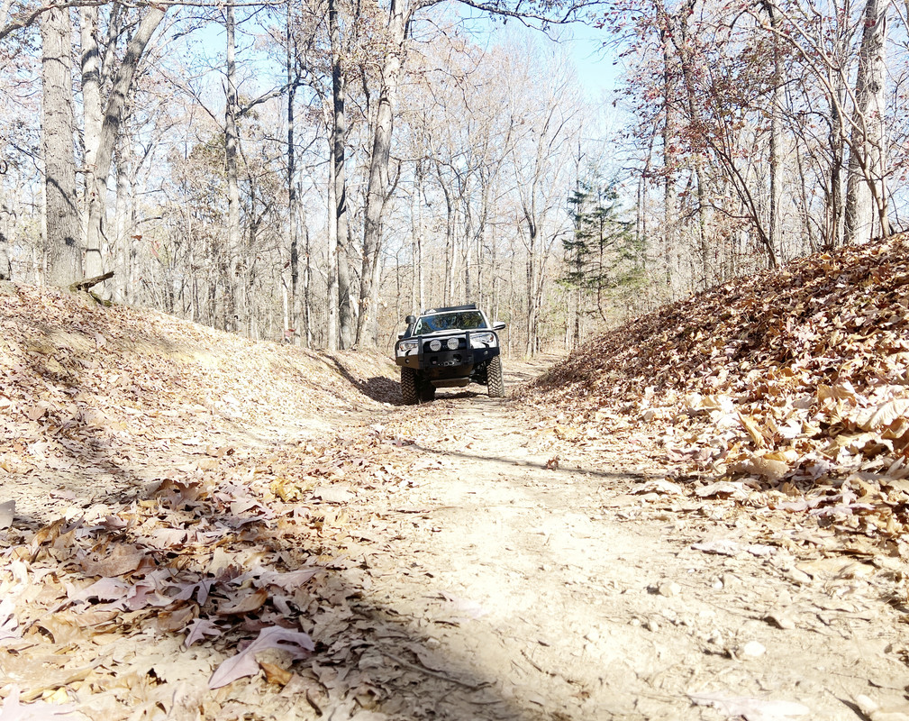 IMG-7695.jpg