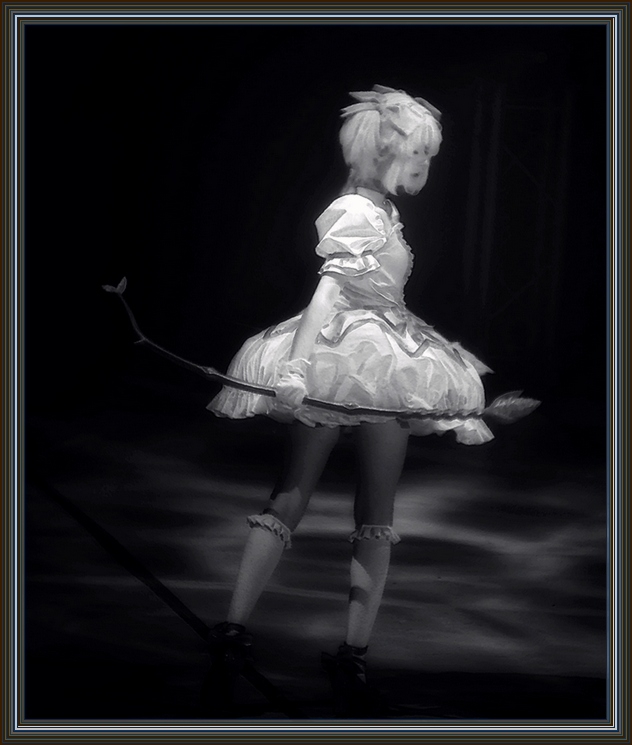 P1120541 2