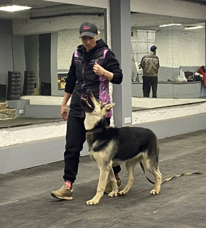 eOuqgShRK1uLzvkQ0dMTyAm13OO4EvpwIvON9nH8neXMpHC_CR4clzpr23W0R_ZuqXdeNVPYXHf0qq2lTQ9YQT8R