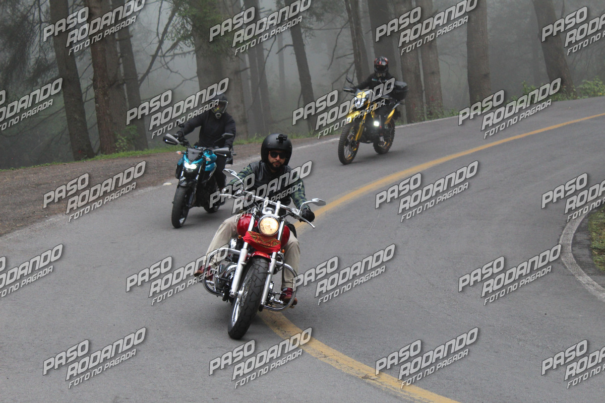 IMG 0020 wm 2317628 3 watermarked — Postimages