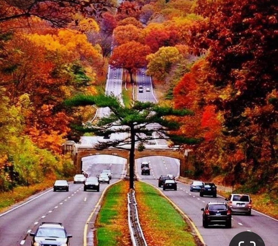 Screenshot_20231201_000025_Pinterest