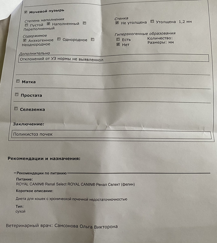 B9125F85-15AE-4869-9452-5F0AC9F8274E