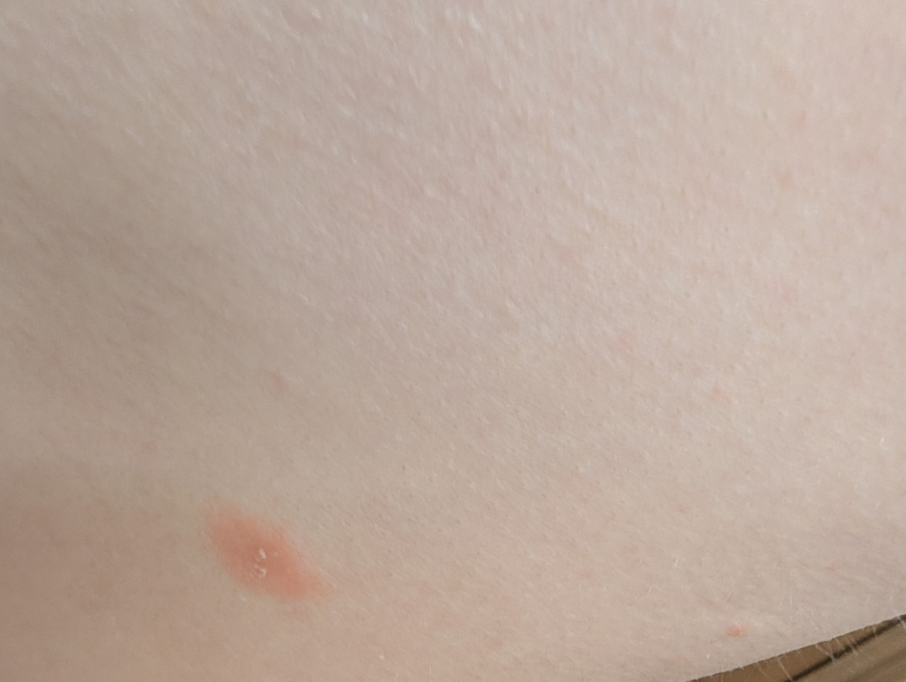 PXL 20260410 111034537