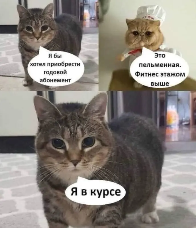 7j8fWp0YfiuFbjHHe0quOMXzkrMANIwWQLMePw_VqacfjkcEfI_sD_CRPAUdyAJqoyCJ-V9wboOQPi2JxrRxQThw