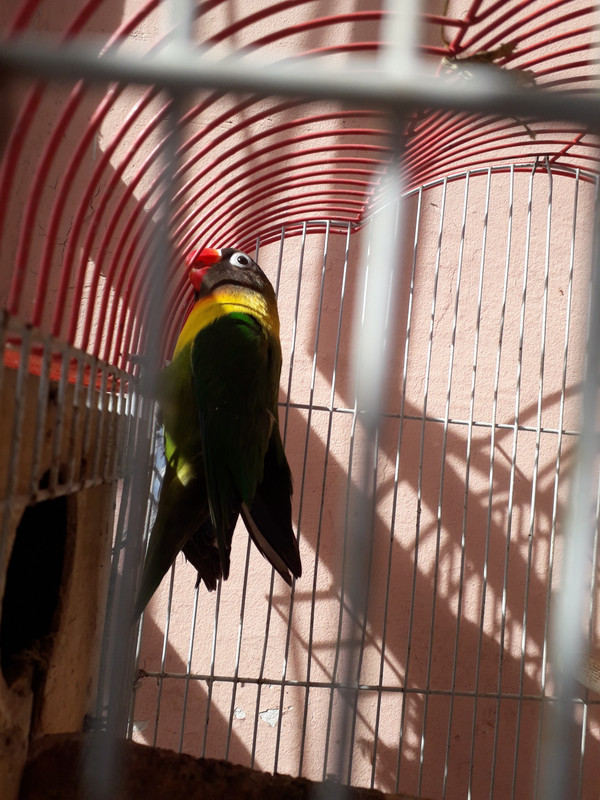 20180317_145655