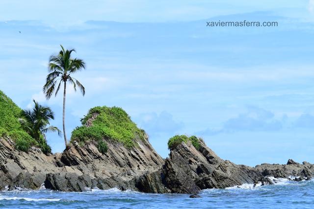 Costa Rica con niños. Julio-Agosto 2018 - Blogs de Costa Rica - Brasilito-PN Manuel Antonio-Uvita-Sierpe (5)