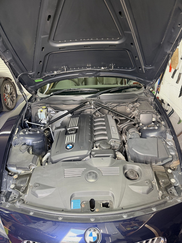 Engine Bay