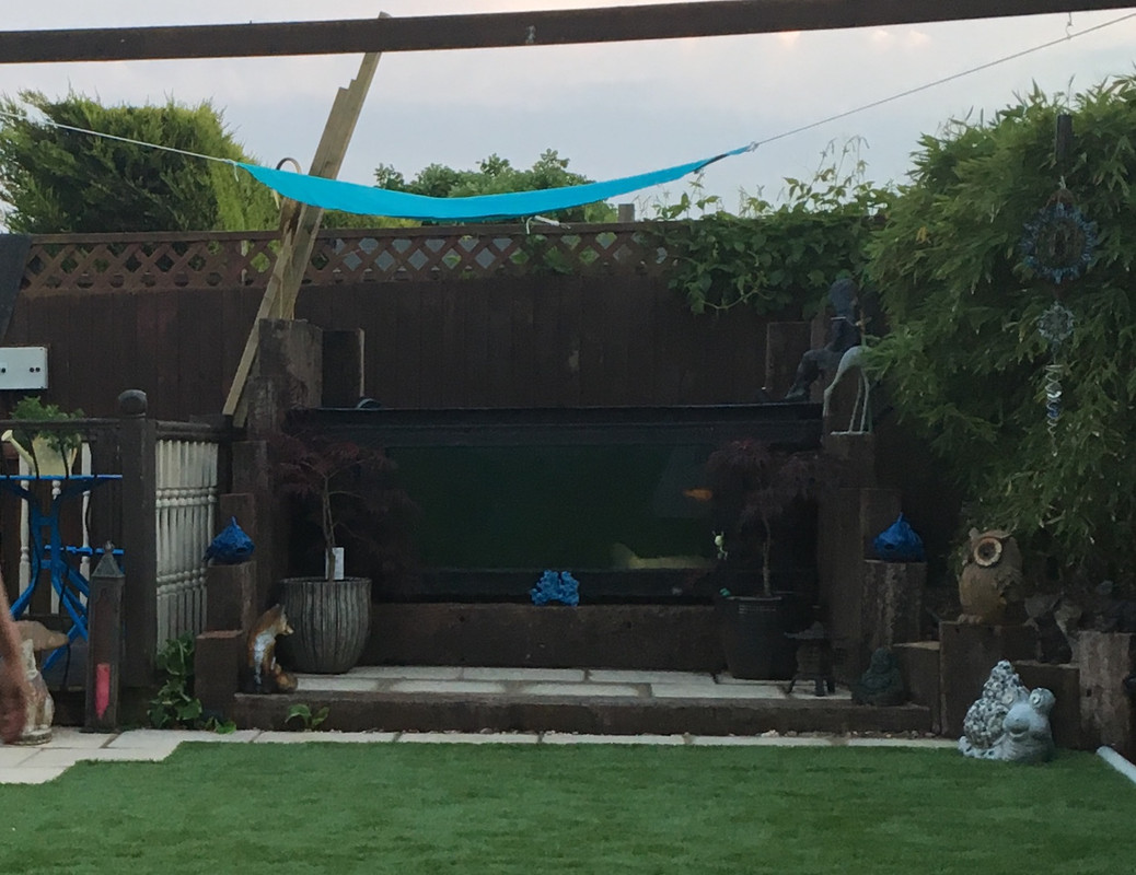 D6D8C566-5A67-44D4-9D51-97C6DE30CD12