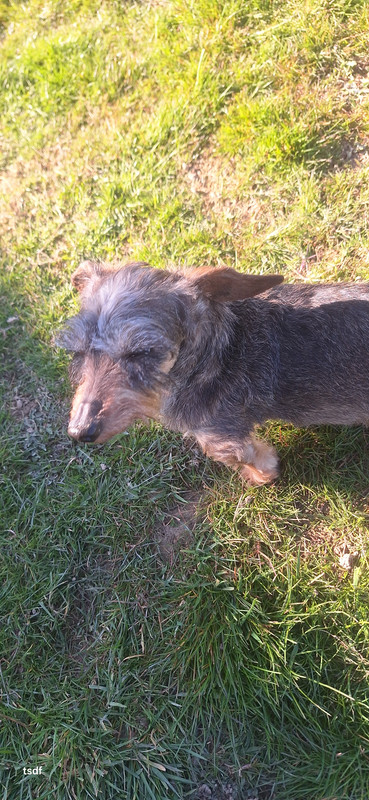 [Image: 20250318-152935.jpg]