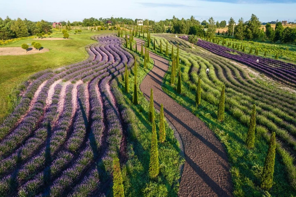 347248888-565113929166425-5930559440199400461-n