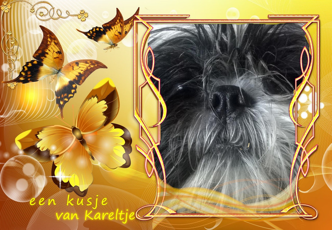 een kusje van Kareltje