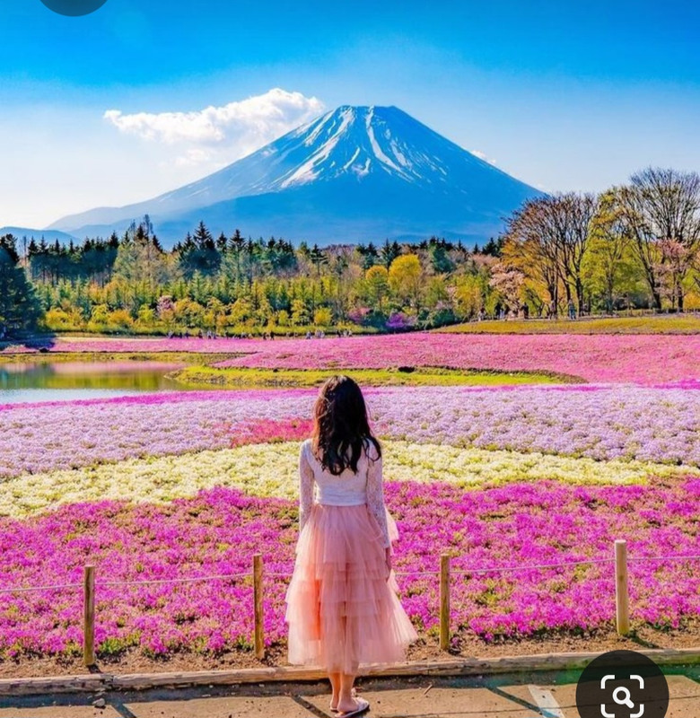 Screenshot_20230514_151633_Pinterest