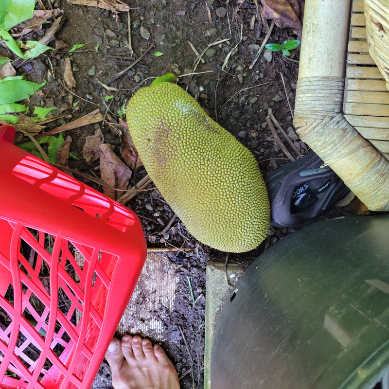 17531408977672993066749074574033