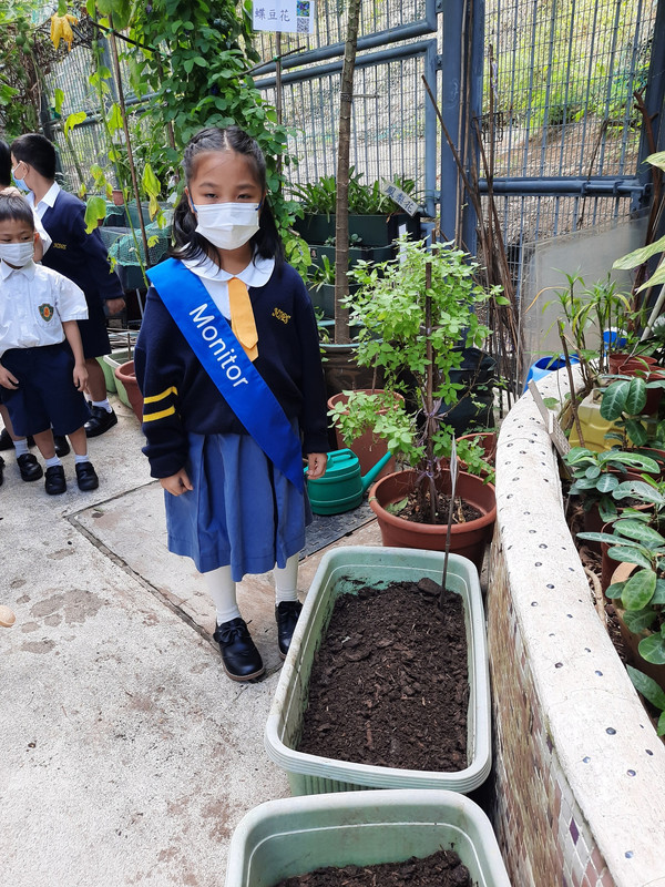 photo-littlefarmer2223-1A-010