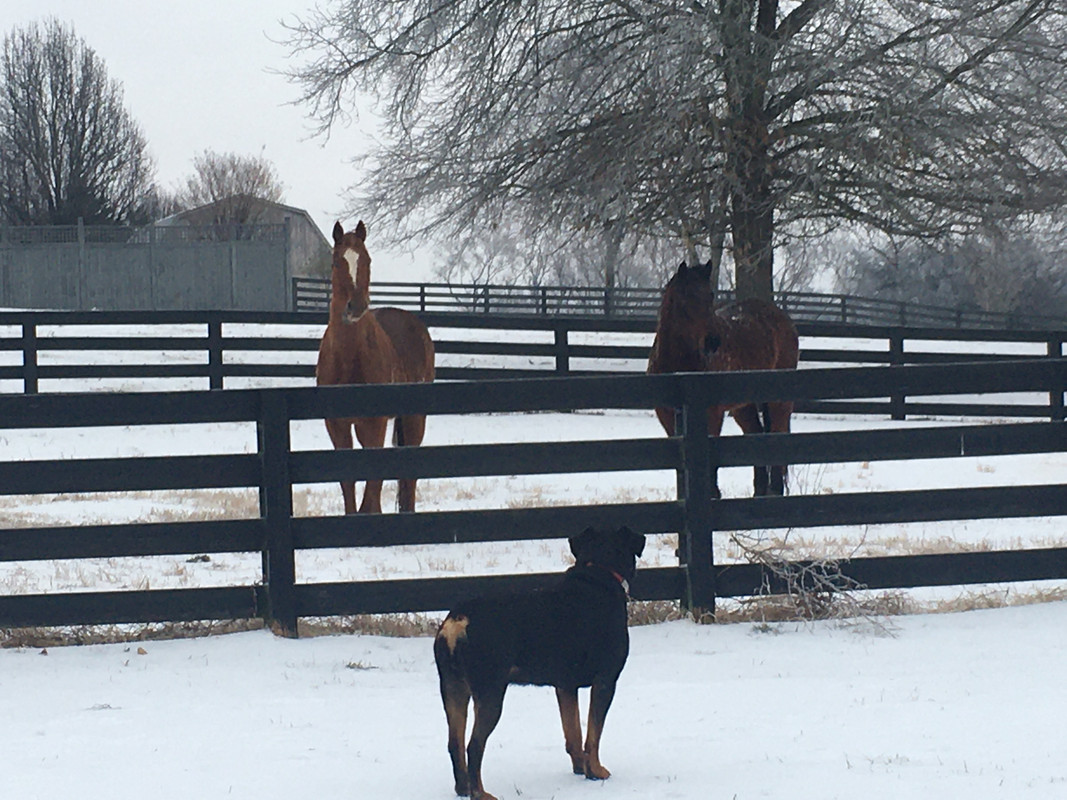 BA32DDF1-0B54-4278-8B28-346B66F905D2