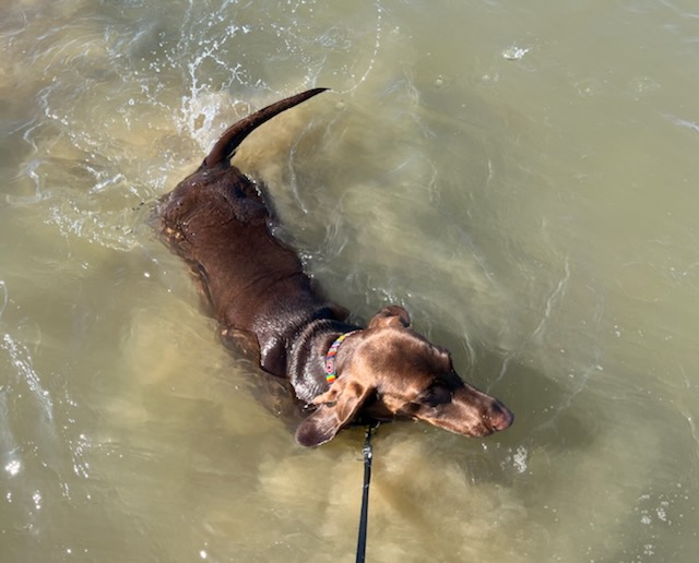 [Image: IMG-2546.jpg]