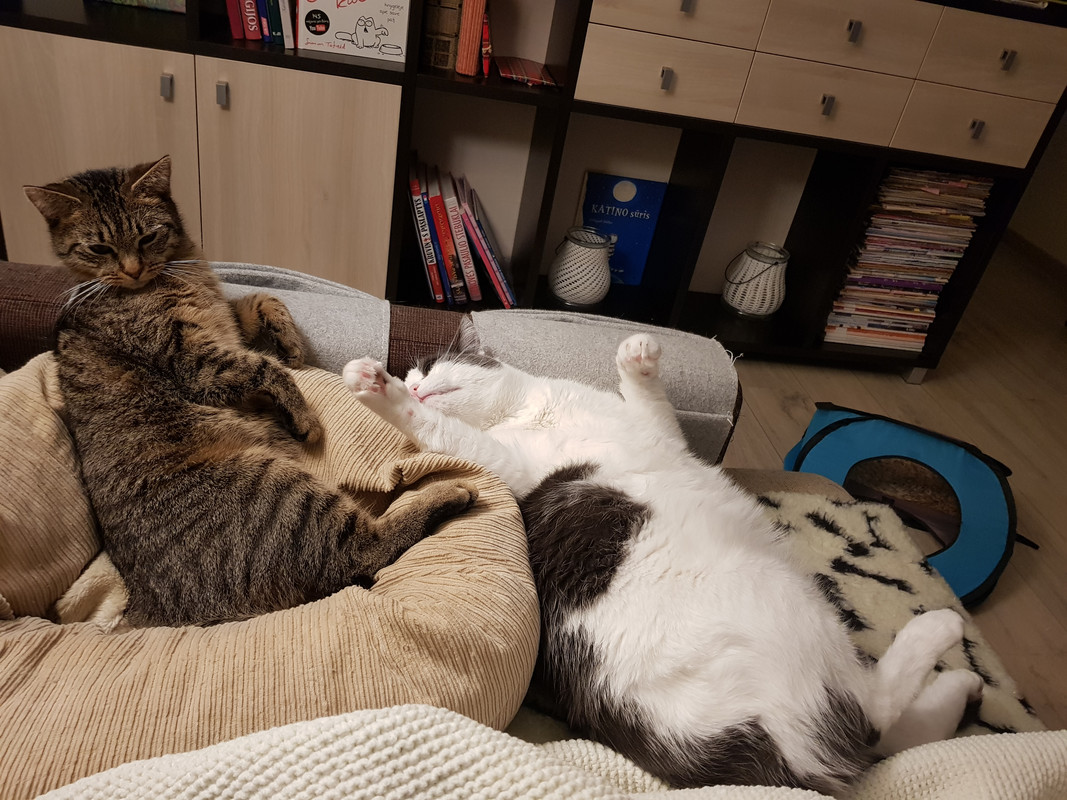 20190125-205453.jpg