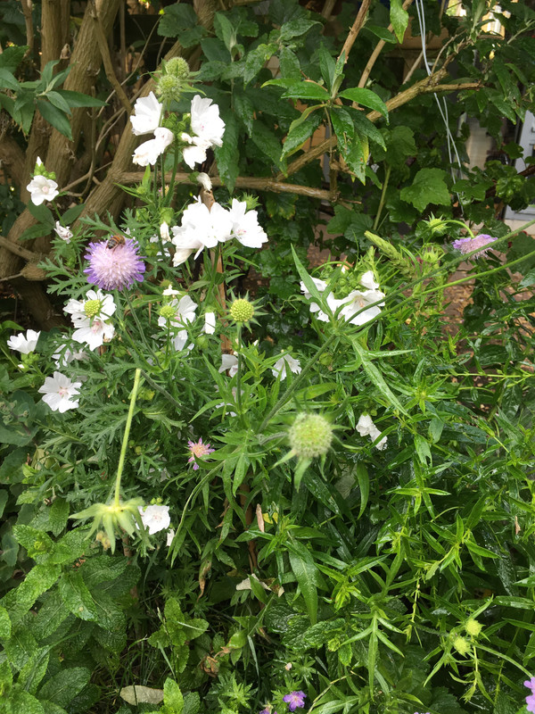 9911DD0D-BB18-42D2-B3B8-D6191B0B6842