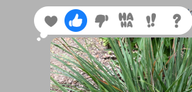 Capture d’écran 2018-07-07 ? 10.26.30