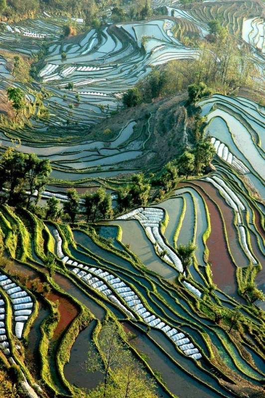 Fascinating-29