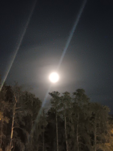 Flower Shower Moon