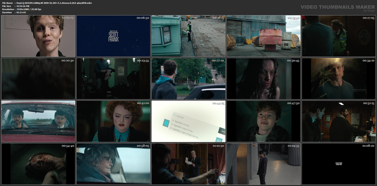Dept.Q.S01E09.1080p.NF.WEB-DL.DD 5.1.Atmos.H.264-playWEB.mkv