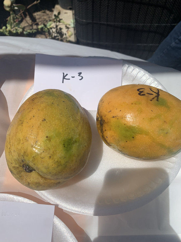 CEA922BC-141C-4475-A937-4233935373A3