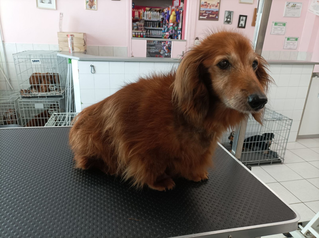 [Image: IMG-20230920-202321.jpg]