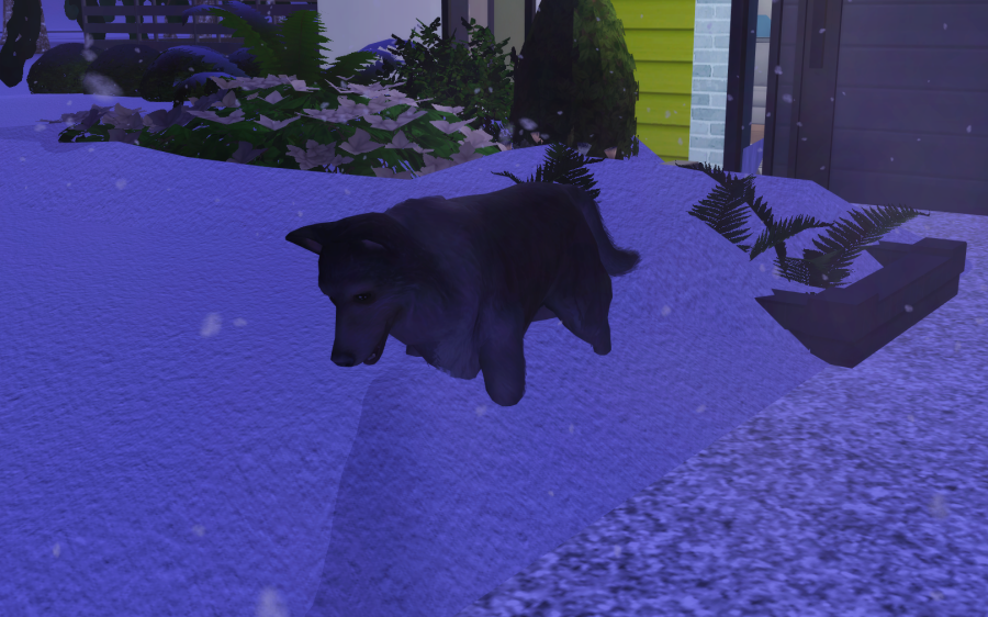 Sims2-EP9-RPC-2021-04-22-21-15-21-82