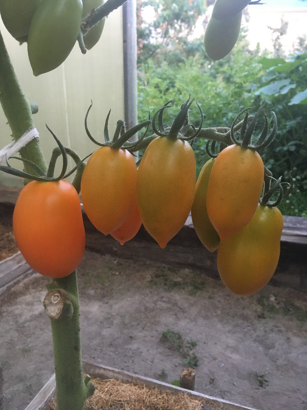 953A4634-5963-409F-8A98-3BAD29CEF809