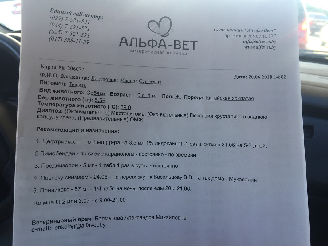 F7649472-E8E8-4509-B3E8-994418DE97E4