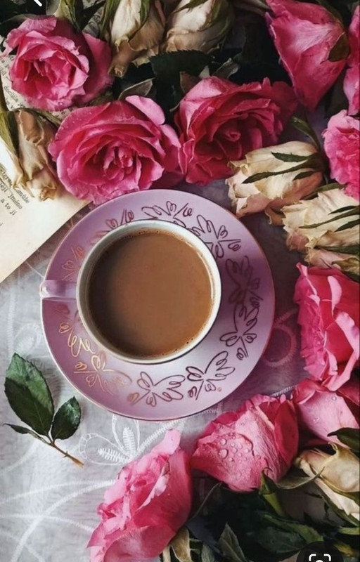 Screenshot_20230420_214244_Pinterest