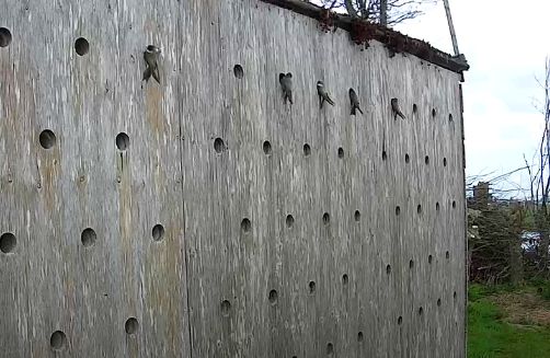 OZ NKL 1 5 hangen aan