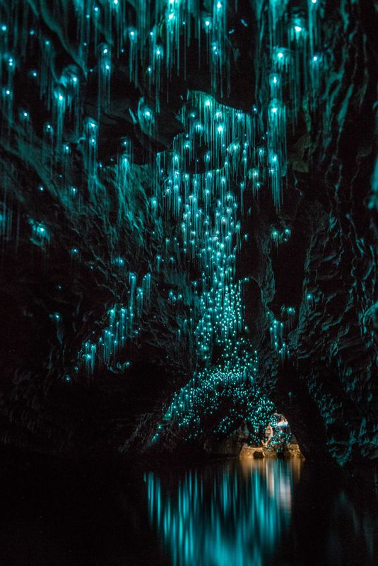 turquoisecvenewzealand.jpg