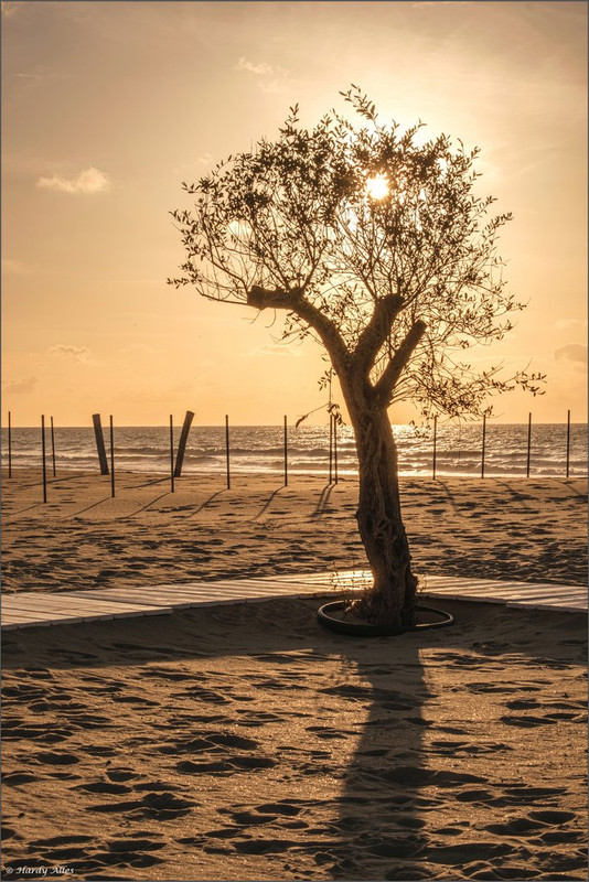 XT4F3241 2023 De Haan Part 1 ERWZ FB