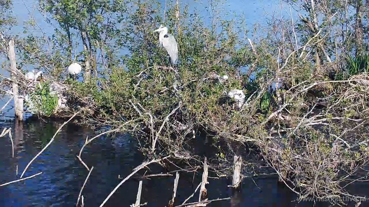 snapshot 2026 04 23T090415 746