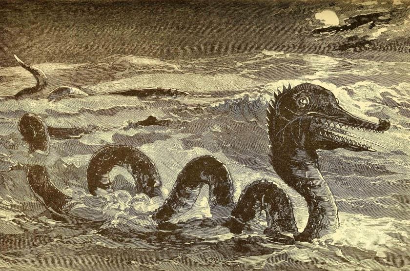 Неведомые морские создания - свидетельства и интересные факты Неведомые морские создания - свидетельства и интересные факты