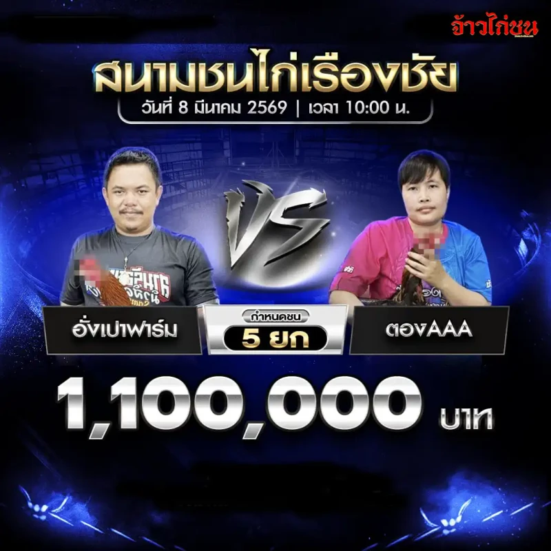 โปรแกรมไก่ชน อั่งเปาฟาร์ม vs ตองAAA สนามชนไก่เรืองชัย 8 มีนาคม 2569