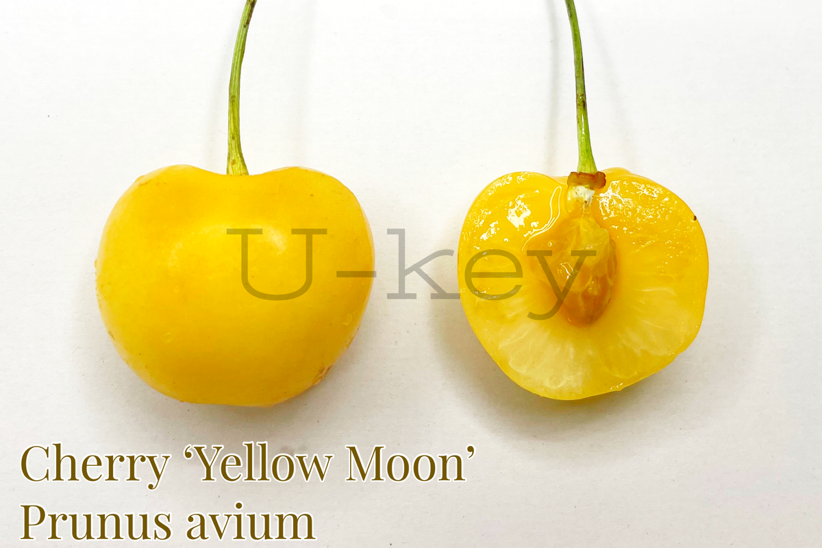 FBDDC509-05C2-434D-8E77-F919D76CA9E0