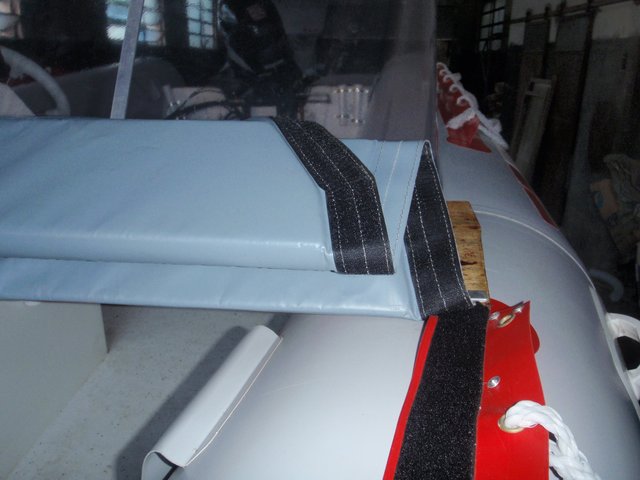 mimosos en berisso 208